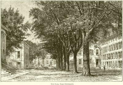 Die Ulmen, Yale Universität von English School