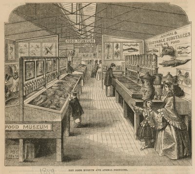 Das Lebensmittel- und Tierprodukte-Museum, South Kensington Museum von English School