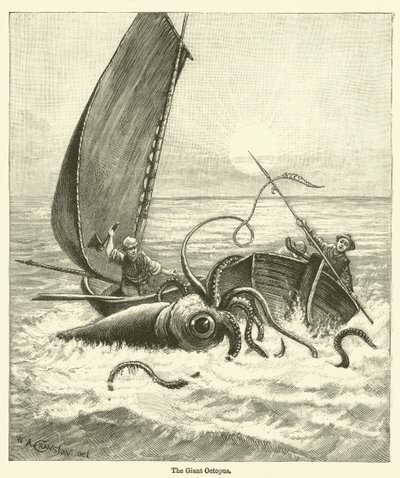 Der Riesentintenfisch (Gravur) von English School