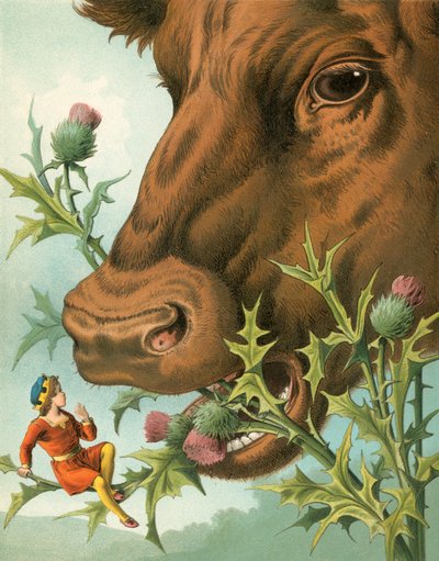 Die Geschichte von Tom Thumb von English School