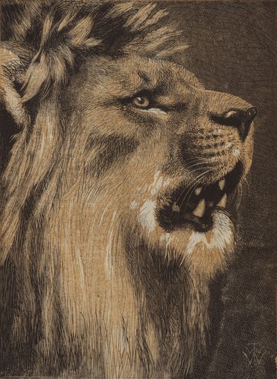 Der König des Waldes von English School