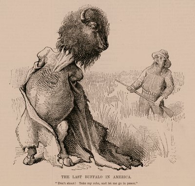 Der letzte Büffel in Amerika von English School