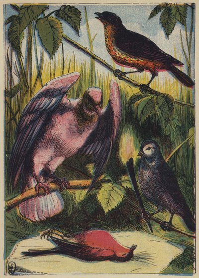 Der Hänfling, die Taube und Cock Robin von English School