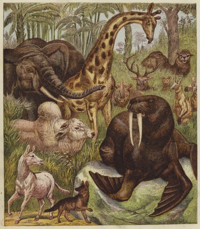 Der Empfang des Löwen (Farblithografie) von English School