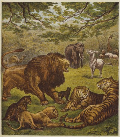 Der Empfang des Löwen (Farblithografie) von English School