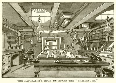 Das Zimmer des Naturforschers an Bord der Challenger von English School