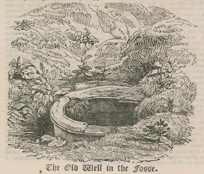 Der alte Brunnen im Graben, Pentonville, London von English School