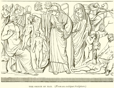 Der Ursprung des Menschen von English School