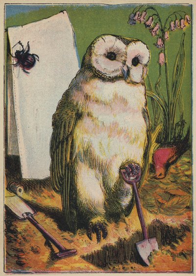 Die Eule, der Käfer und Cock Robin von English School