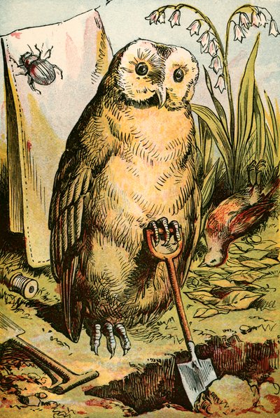 Die Eule, der Käfer und Cock Robin von English School