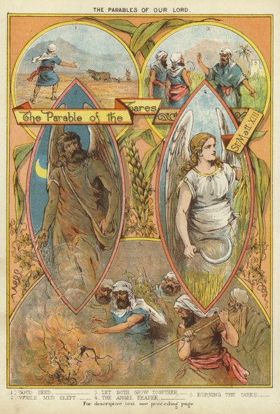 Die Gleichnisse Christi: Das Gleichnis vom Unkraut von English School