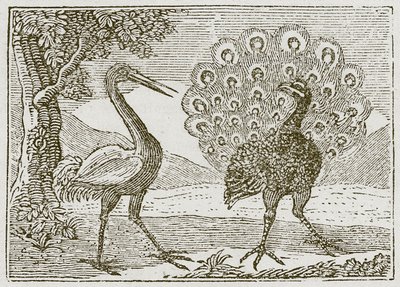 Der Pfau und der Kranich von English School