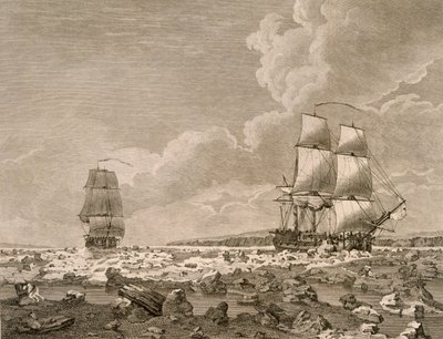 Das Rennpferd und der Kadaver, die sich durch das Eis zwängen, 10. August 1773, aus A Voyage Towards the North Pole Undertaken by His Majesty