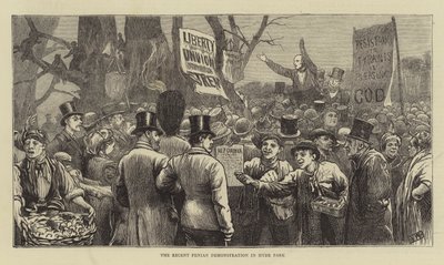 Die jüngste Fenian-Demonstration im Hyde Park (Stich) von English School