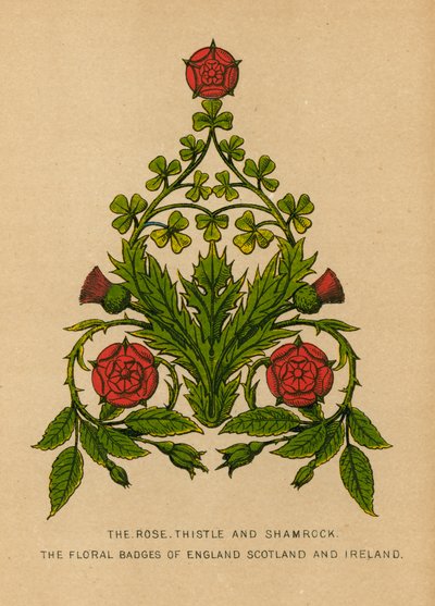 Die Rose, Distel und Kleeblatt. Die floralen Abzeichen von England, Schottland und Irland von English School
