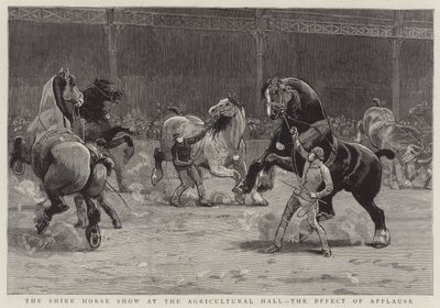 Die Shire Horse Show in der Agricultural Hall, die Wirkung des Applauses (Gravur) von English School