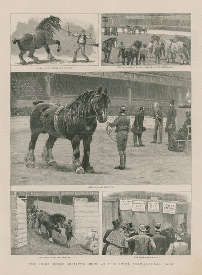 Die Shire Horse Society Schau in der königlichen Landwirtschaftshalle von English School