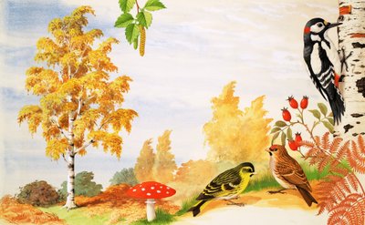 Die Silberbirke und Tiere und Pflanzen, die man um sie herum finden könnte von English School