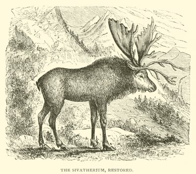 Das Sivatherium, restauriert von English School