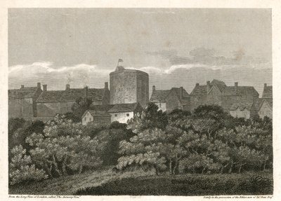 Das Swan Theatre am Bankside, wie es im Jahr 1614 erschien von English School