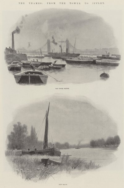 Die Themse, vom Tower bis Iffley (Lithografie) von English School