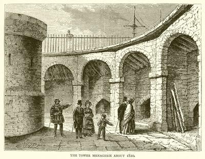 Die Menagerie im Tower um 1820 von English School