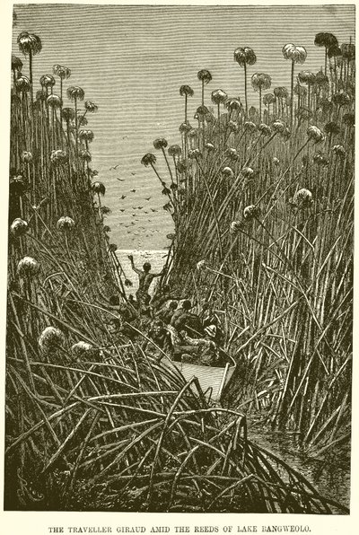 Der Reisende Giraud im Schilf des Bangweolo-Sees von English School