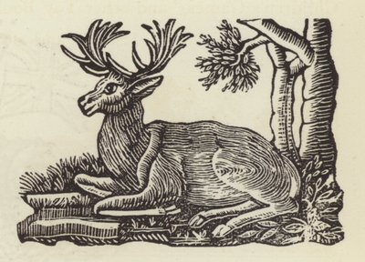 Der Weiße Hirsch von English School