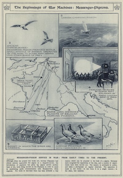 Die Anfänge der Kriegsmaschinen, Brieftauben, Brieftaubendienst im Krieg, von frühen Zeiten bis zur Gegenwart von English School