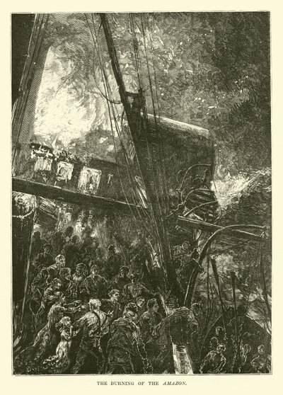 Das Brennen des Amazonas von English School