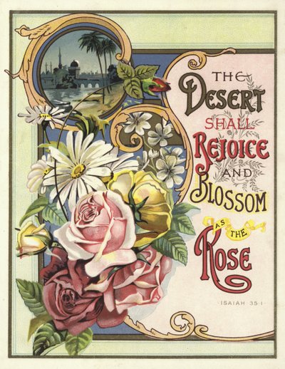 Die Wüste wird sich freuen und blühen wie die Rose von English School