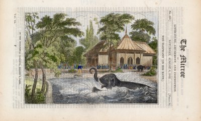 Der Elefant in seinem Bad im Zoo im Regents Park von English School