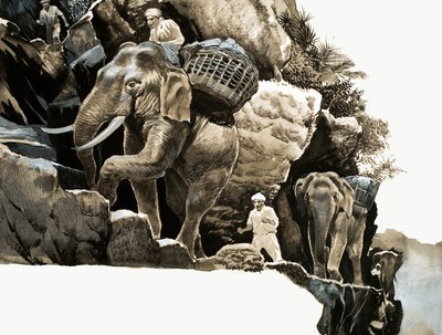 Die Elefantenwanderung von Elephant Bill von English School