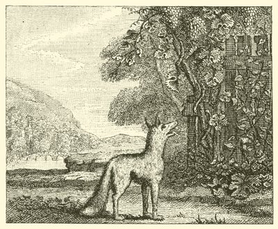 Der Fuchs und die Trauben von English School