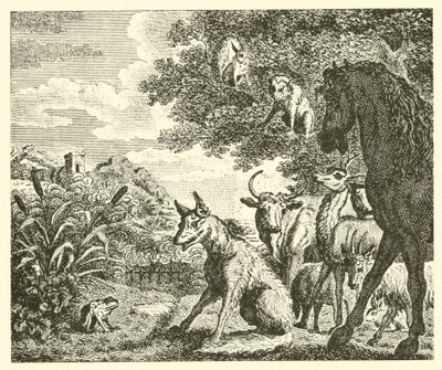 Der Frosch und der Fuchs (Gravur) von English School