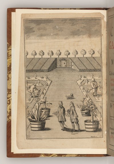 Das Frontispiz von The City Gardener von Thomas Fairchild von English School