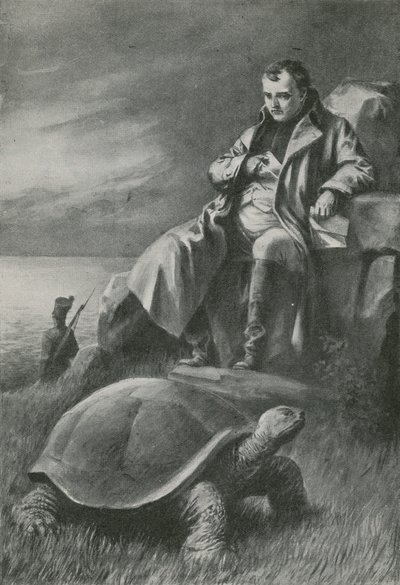 Die Riesenschildkröte, die Napoleon sah von English School