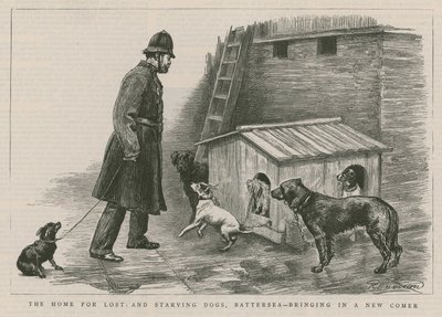 Das Heim für verlorene und hungernde Hunde von English School