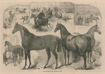 Die Pferdeschau in der Landwirtschaftshalle von English School