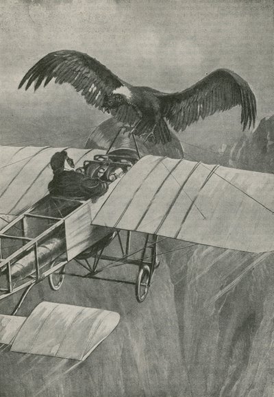 Der König der Lüfte trifft auf einen Eindringling von English School