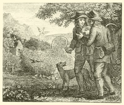 Die Lerche und ihre Jungen von English School