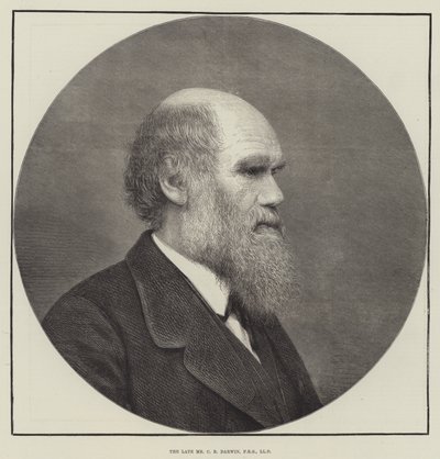 Der verstorbene Mr. C. R. Darwin, FRS, LLD von English School