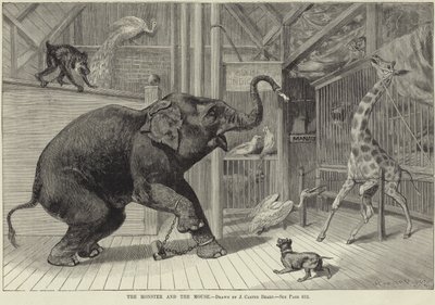 Das Monster und die Maus von English School