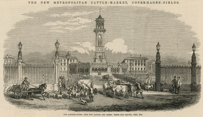 Der neue Metropolitan Viehmarkt, Copenhagen Fields von English School
