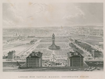 Der neue Metropolitan Viehmarkt, Copenhagen Fields, London von English School