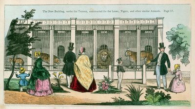 Das neue Gebäude unter der Terrasse, gebaut für Löwen, Tiger und andere ähnliche Tiere von English School