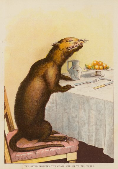 Der Otter bestieg den Stuhl und auf den Tisch von English School