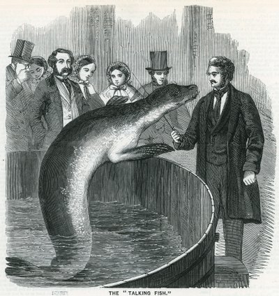 Der sprechende Fisch von English School