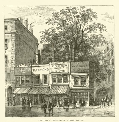 Der Baum an der Ecke der Wood Street von English School