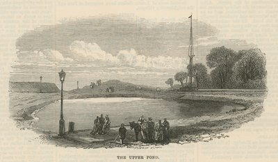 Der obere Teich, Hampstead Heath von English School